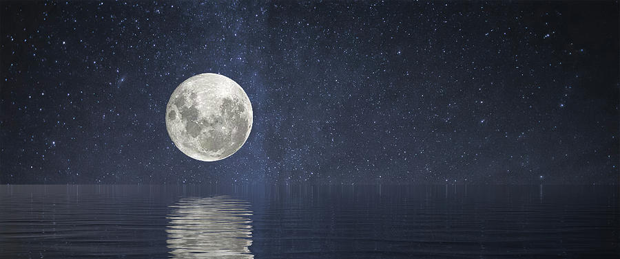 Full Moon at Sea Photograph by Darryl Brooks