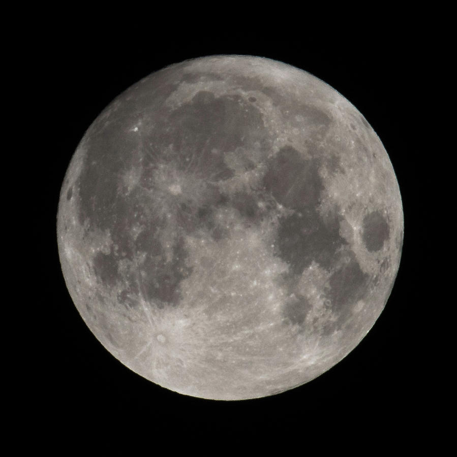 Full Moon August 2019 Square Photograph by Terry DeLuco