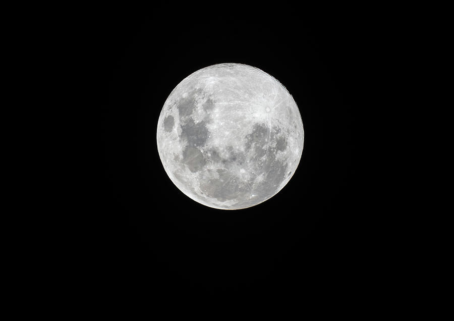 Full Moon, Easter Moon by Merrillie Redden Full Moon, Easter Moon by Merrillie Redden