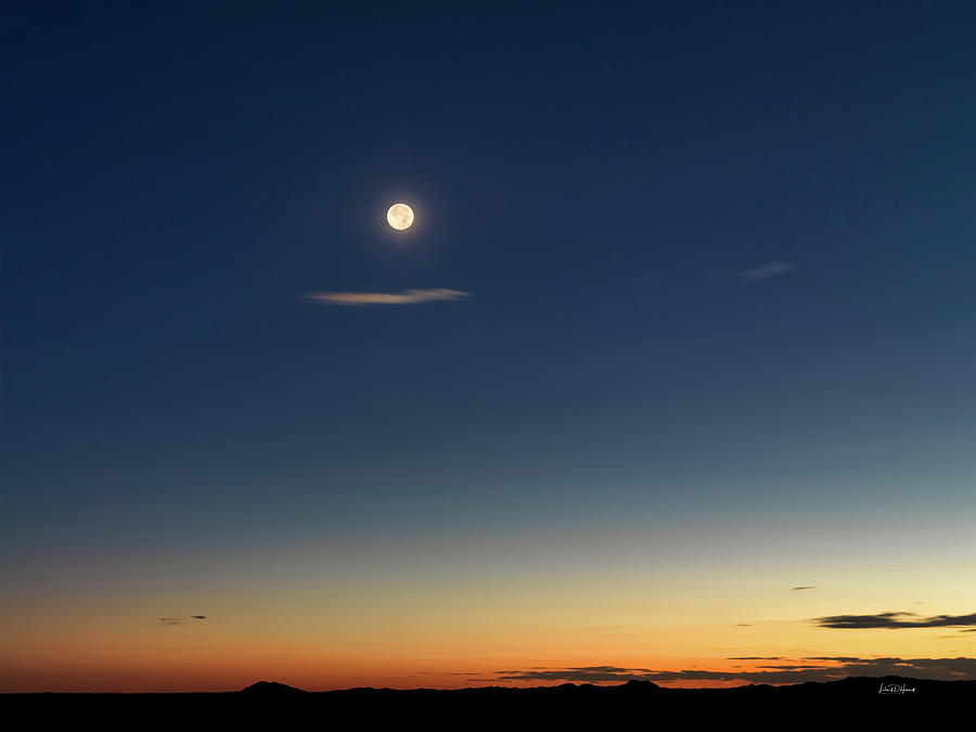 Full Moon in Evening Sky. Photograph by Leland D Howard