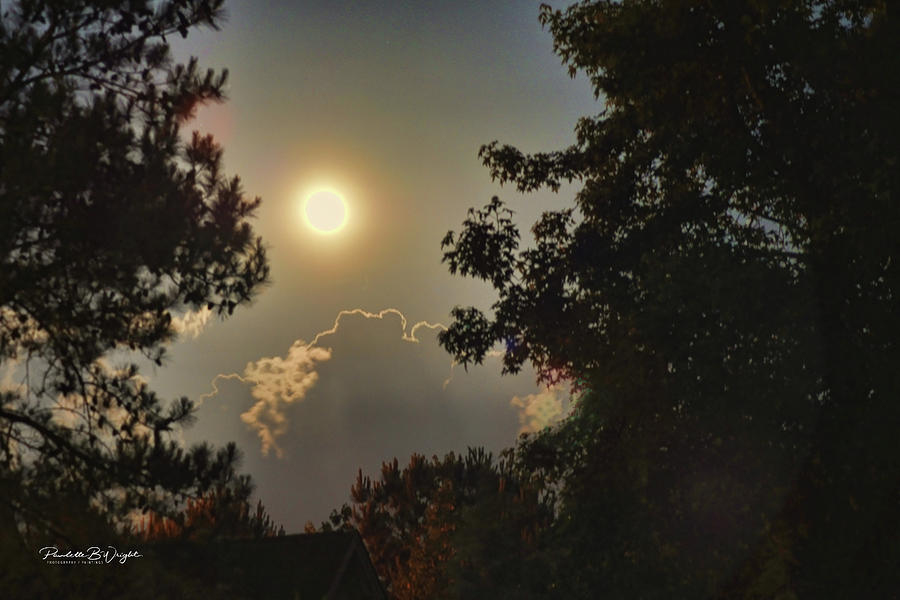 Full Moon In Spring by Paulette B Wright Full Moon In Spring by Paulette B Wright