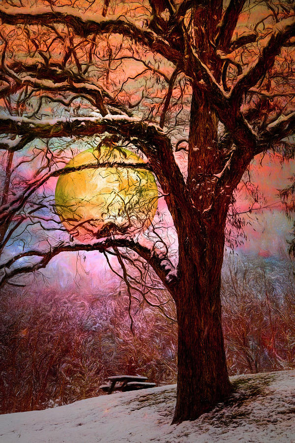 Full Moon in the Trees Painting Photograph by Debra and Dave Vanderlaan