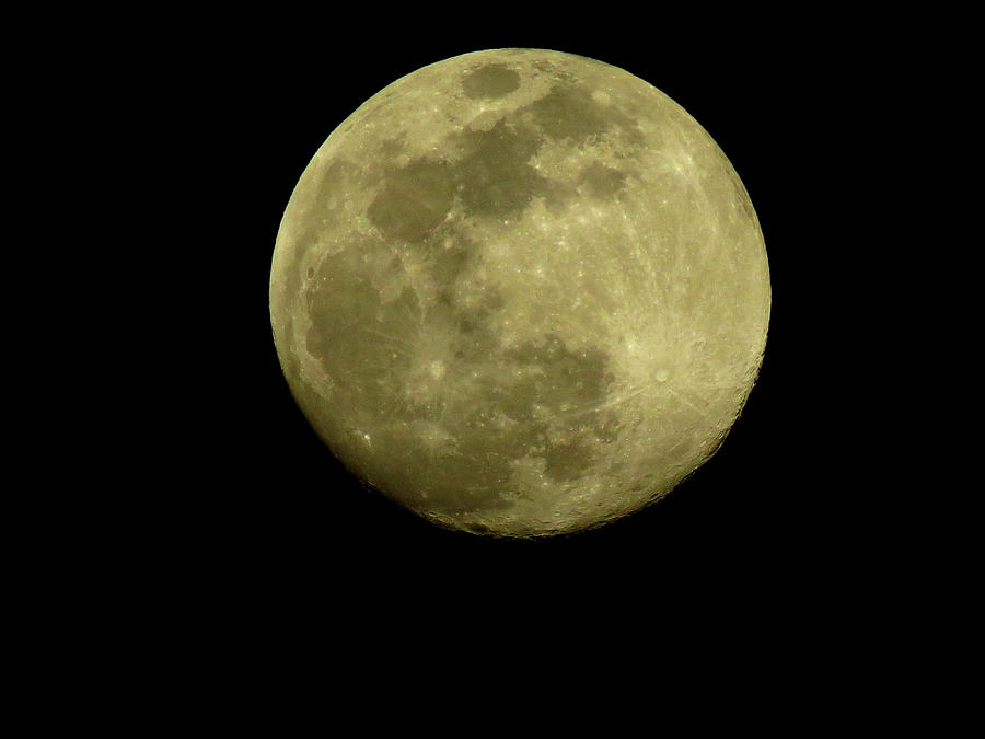 Full Moon Photograph by Linda Stern