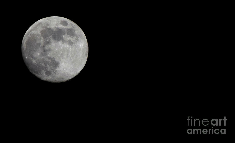 Full Moon Photograph by Nina Ficur Feenan