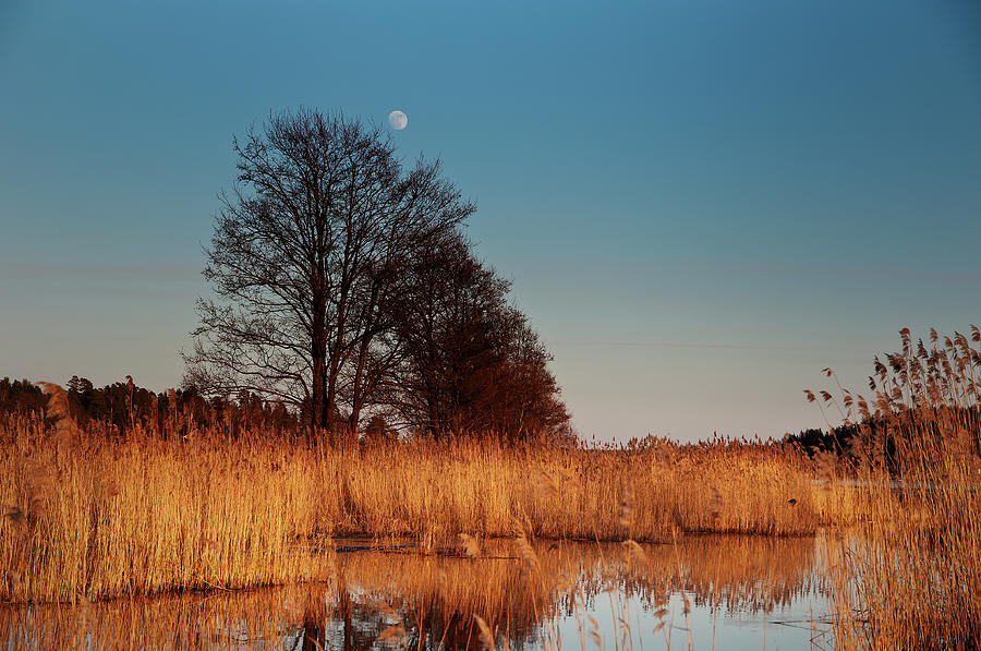 Full Moon Of Alsterans Mouth Photograph by Micael Carlsson