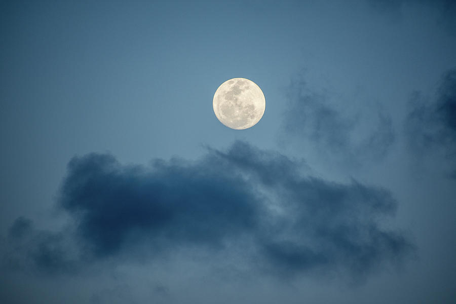 Full moon on Fraser Island Photograph by Mark Hunter
