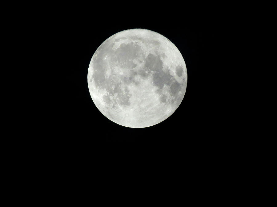 Full Moon on Friday the Thirteenth Photograph by Linda Stern