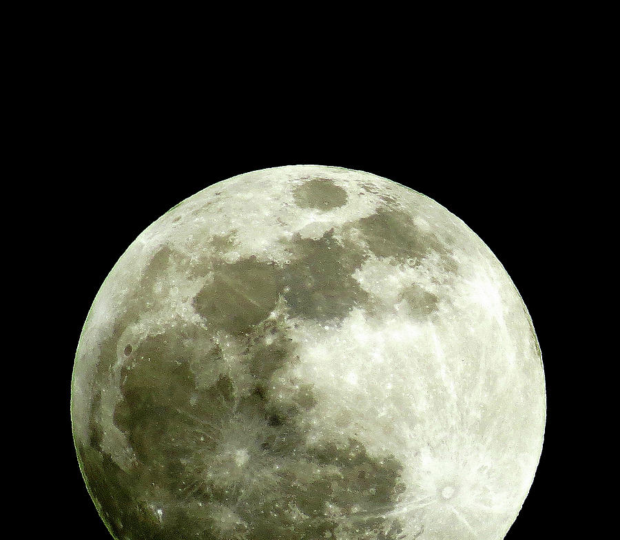 Full Moon Out of View Photograph by Linda Stern
