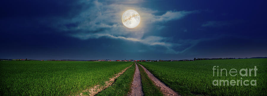 Full Moon Over Field Photograph by Wladimir Bulgar/science Photo Library
