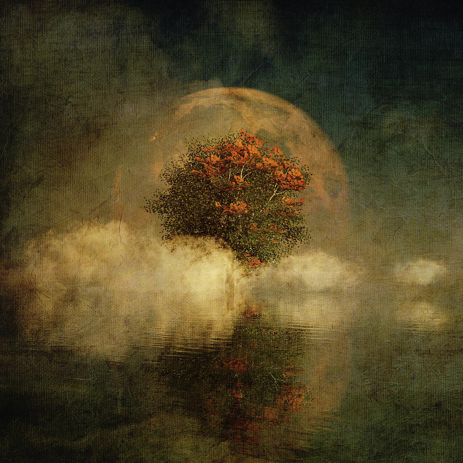 Full moon over misty water Digital Art by Jan Keteleer