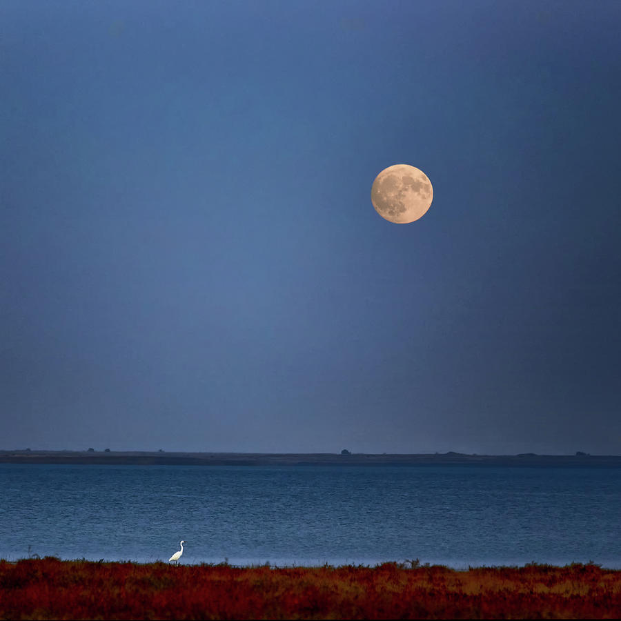 Moon Over The Sea Pictures