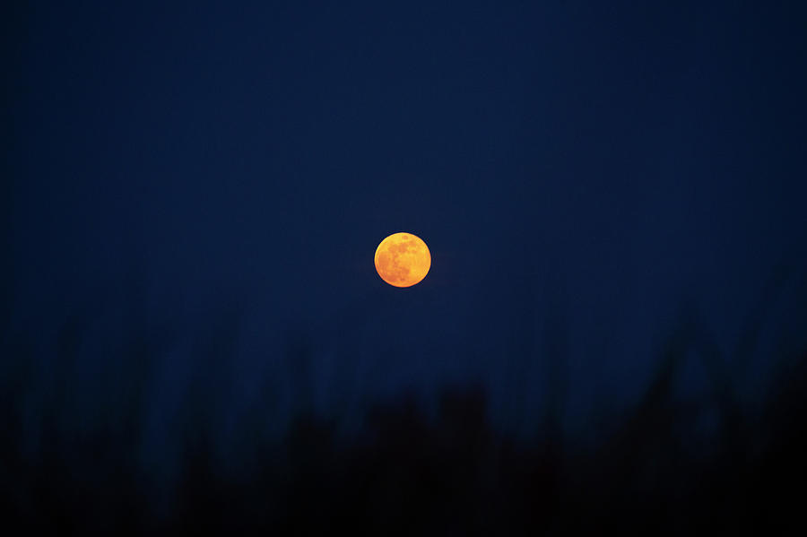 Full Moon Rising 12 Photograph