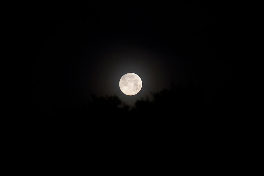 Full Moon Rising 2 Photograph