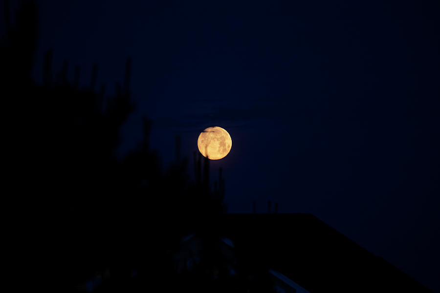 Full Moon Rising 3 Photograph