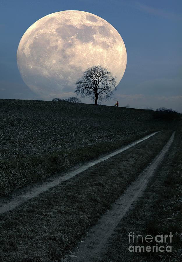Full Moon Rising At Twilight Photograph by Detlev Van Ravenswaay/science Photo Library