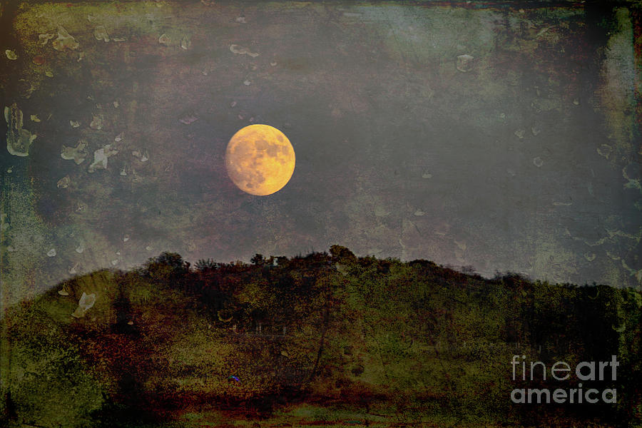 Full Moon Rising Over Hills 2 Photograph by Roslyn Wilkins
