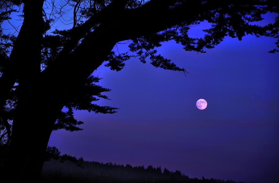 Full Moon Rising Over Sea Photograph by Barbara Rich