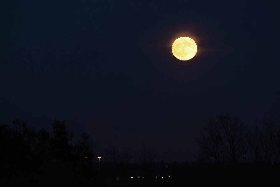 Full Moon Rising Photograph by Su Buehler - Fine Art America