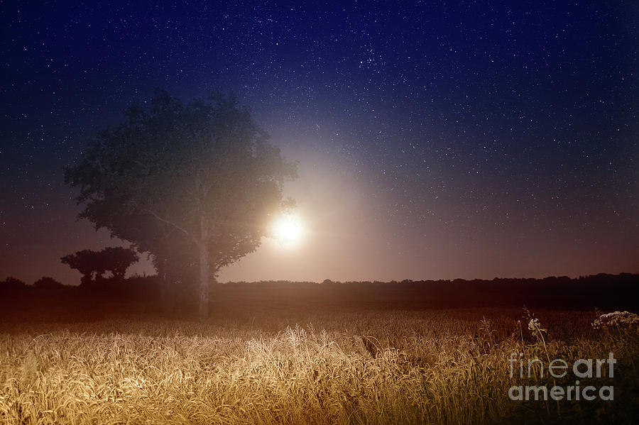 Full moon rising with stars landscape Photograph by Gregory DUBUS