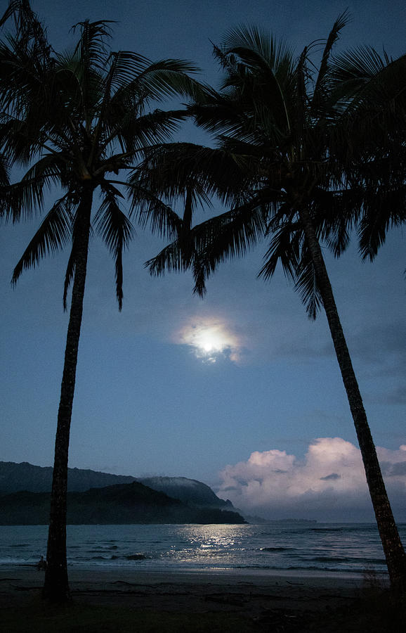 Full Moon Through Palm Trees, Hanalei Bay, Kauai Photograph by Cavan Images