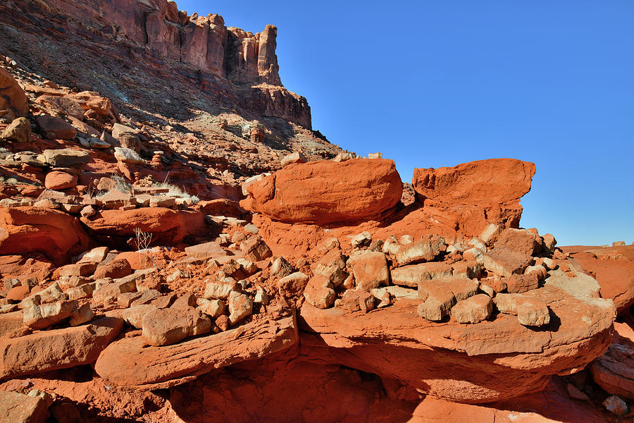 Full Plates of Red Rocks in Utah Photograph by Ray Mathis