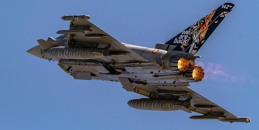 Full Power Tiger Photograph by Luis Andre Pereira