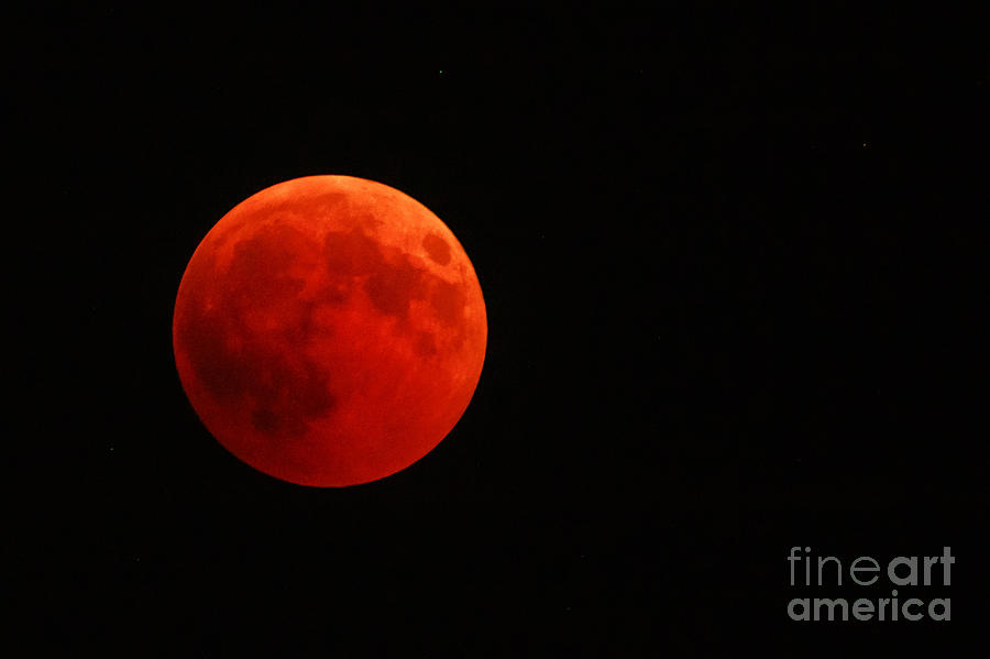 Full red moon Photograph by Benny Marty