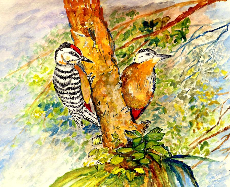 Fulvous-breasted Woodpecker  Painting by Jason Sentuf