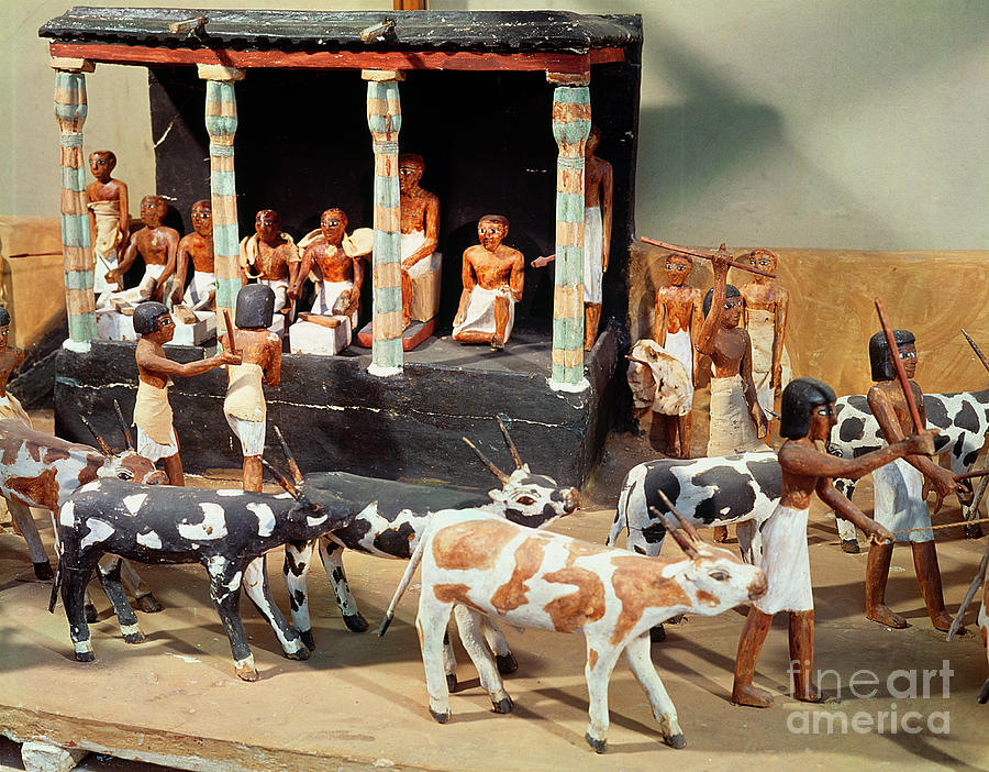 Funerary Model Of A Census Of Livestock, From The Tomb Of Meketre, Thebes, Middle Kingdom, C.2000 Bc Painting by Egyptian 6th Dynasty