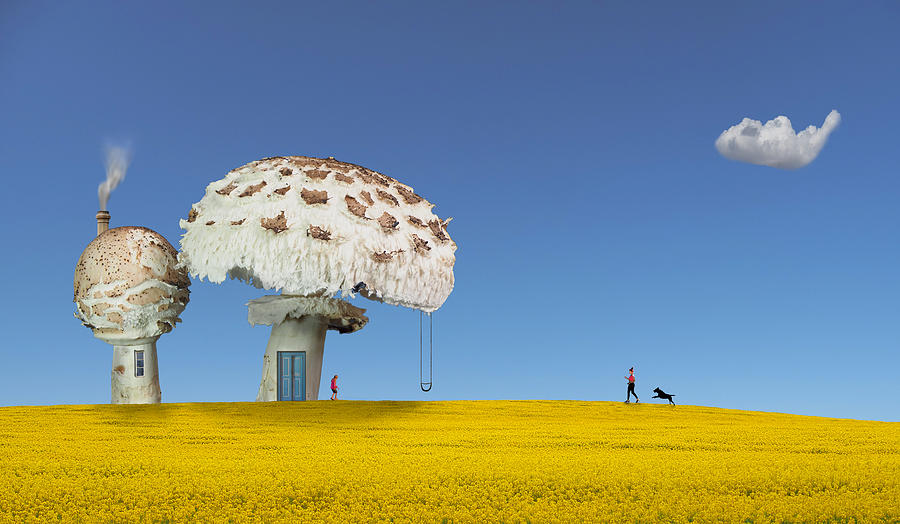 Fungi Houses Photograph by Peter Hammer