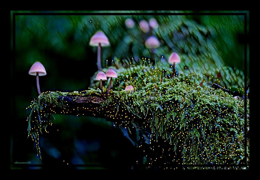 Mushroom Digital Art - Fungus Among Us by Ellen Cannon