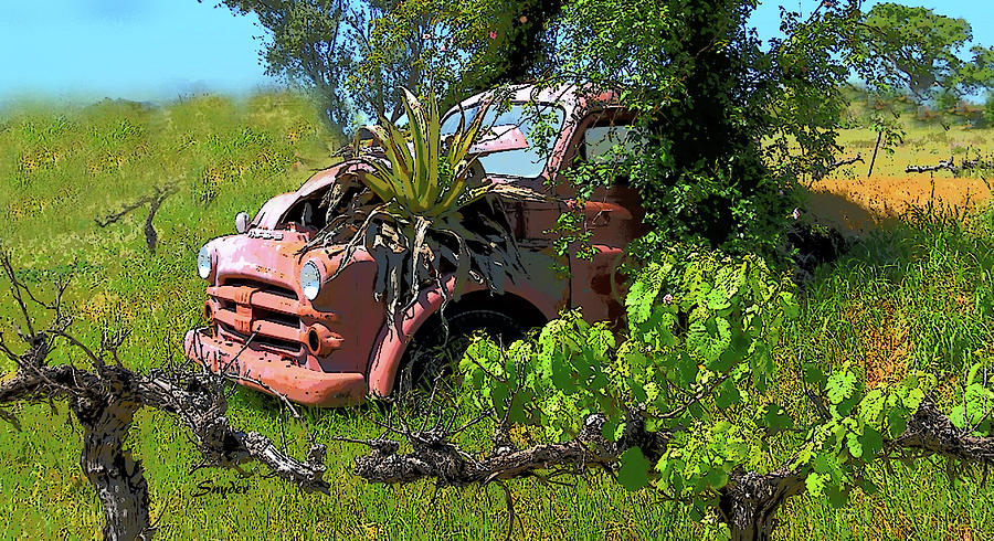 Funky Dodge In The Vineyard 2 Photograph by Floyd Snyder