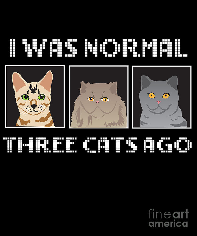 i was normal three cats ago