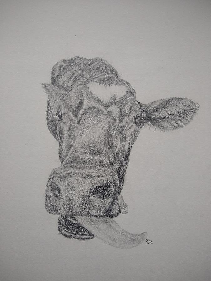 Happy Farm Animal Cow Black White Animal Drawing PNG Sketch Image – VinaFrog
