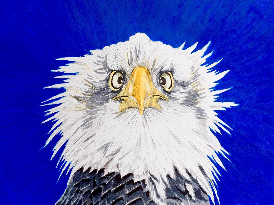 Funny Eagle Drawing by Anastasiia Saburova - Pixels