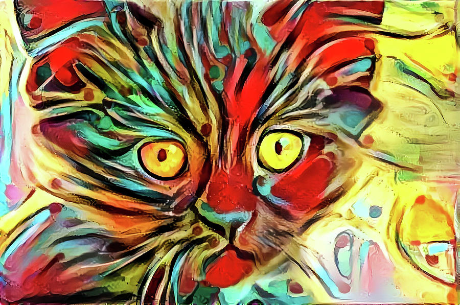 Funny Face Kitten Digital Art by Don Northup