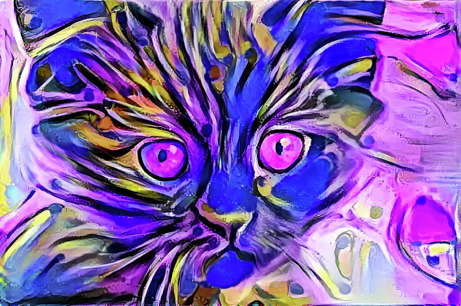 Funny Face Kitten Purple Eyes Digital Art by Don Northup