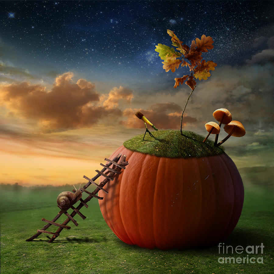 Space Digital Art - Funny Poster With Snail-astronomer by Oxa Space Digital Art - Funny Poster With Snail-astronomer by Oxa