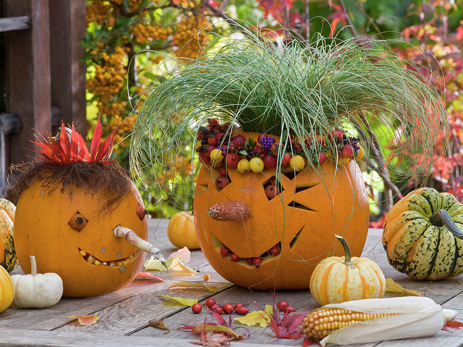 Funny Pumpkin Heads Photograph by Friedrich Strauss