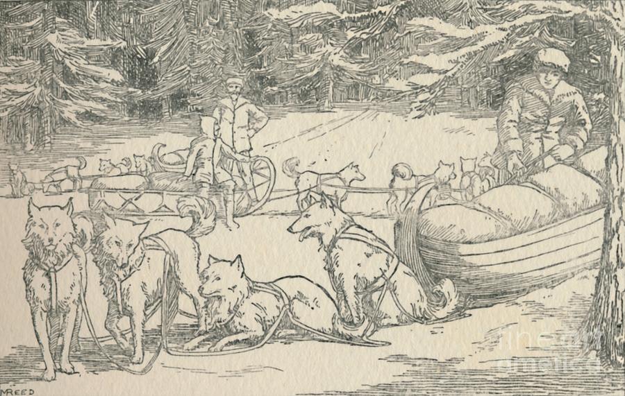 Fur-trappers Drawing by Print Collector