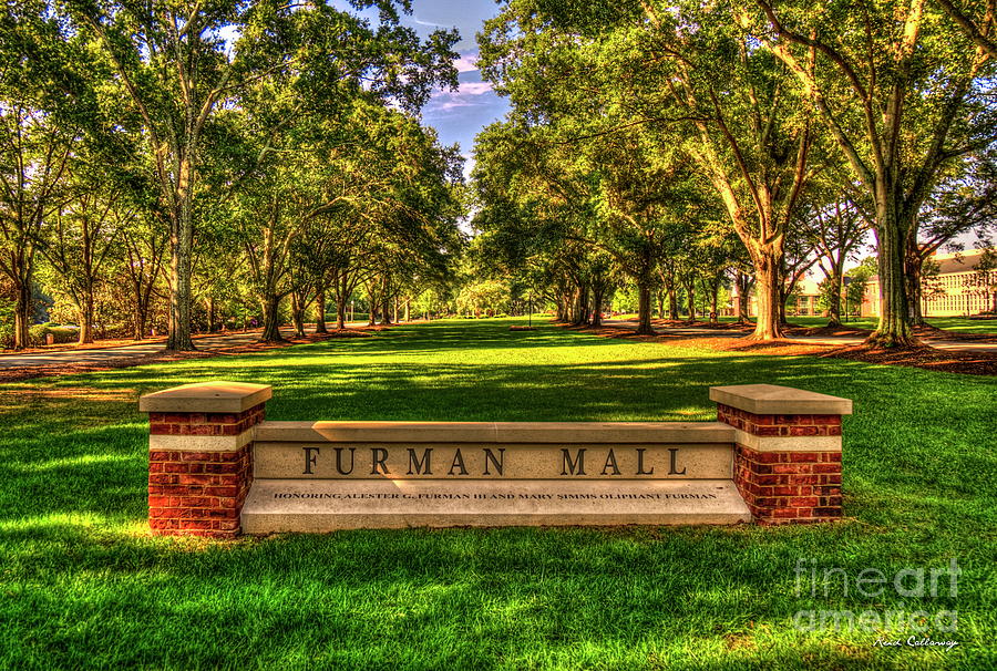 Furman Mall Furman University Greenville South Carolina Art Photograph by Reid Callaway