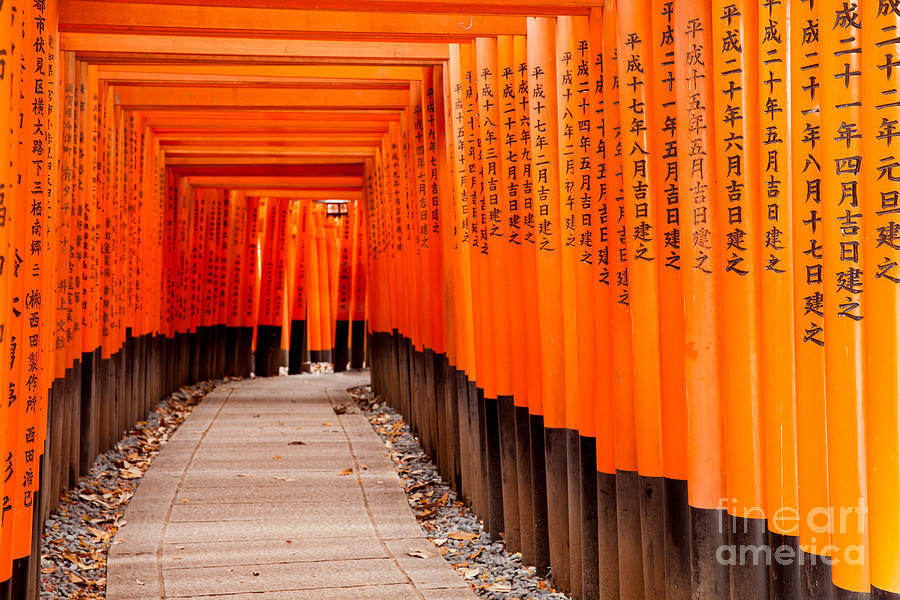Forest Photograph - Fushimi Inari Taisha Shrine In Kyoto by Pigprox Forest Photograph - Fushimi Inari Taisha Shrine In Kyoto by Pigprox
