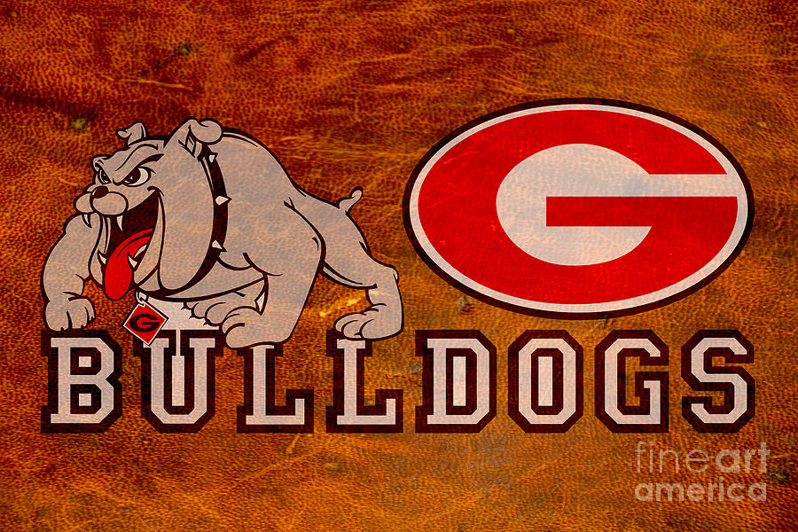 University Of Georgia Bulldogs Digital Art by Steven Parker