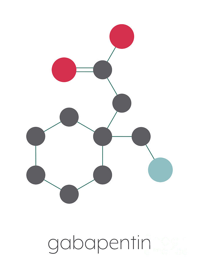 gabapentin drug monograph