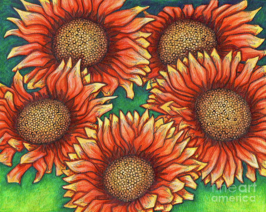 Gaillardia Painting by Amy E Fraser