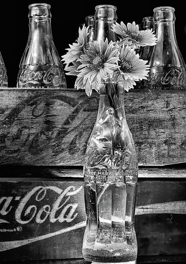 Gaillardia and Coke Still Life Black and White Photograph by JC Findley