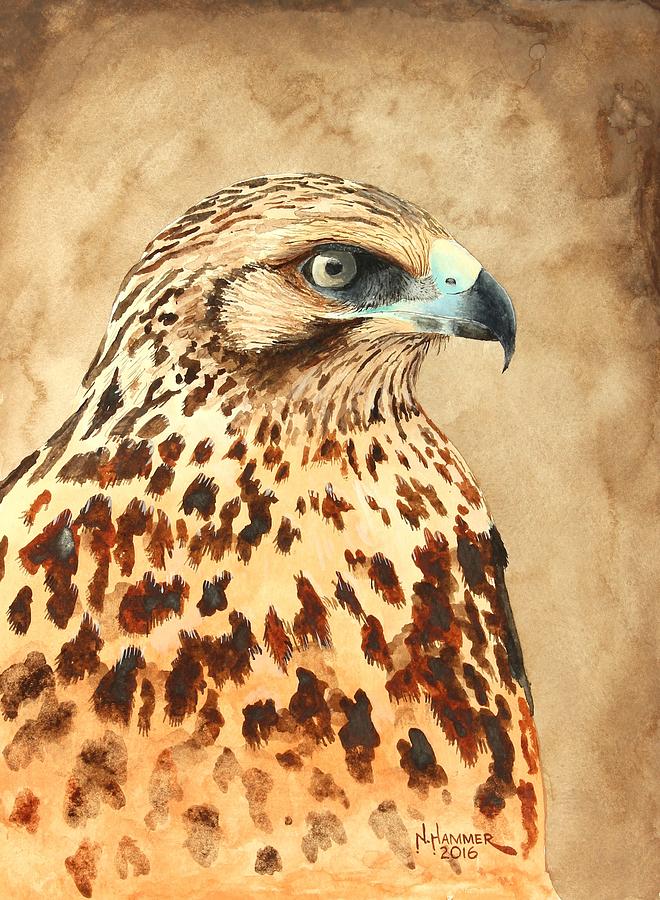 Galapagos Hawk Portrait Painting by Nelson Hammer - Fine Art America