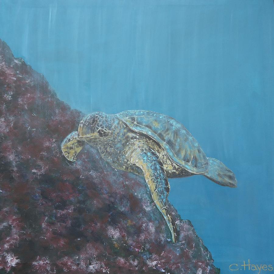 Galapagos Island Sea Turtle Painting by Crystal Hayes | Fine Art America