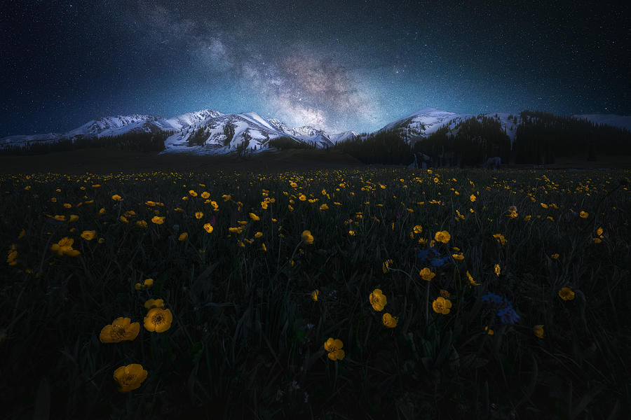 Galaxy And Flower Sea Photograph by Yuan Cui