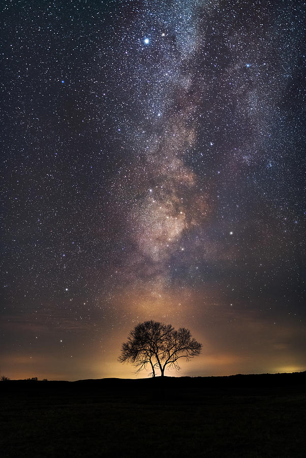 Galaxy Beyond A Tree Photograph by Liaoyuhan